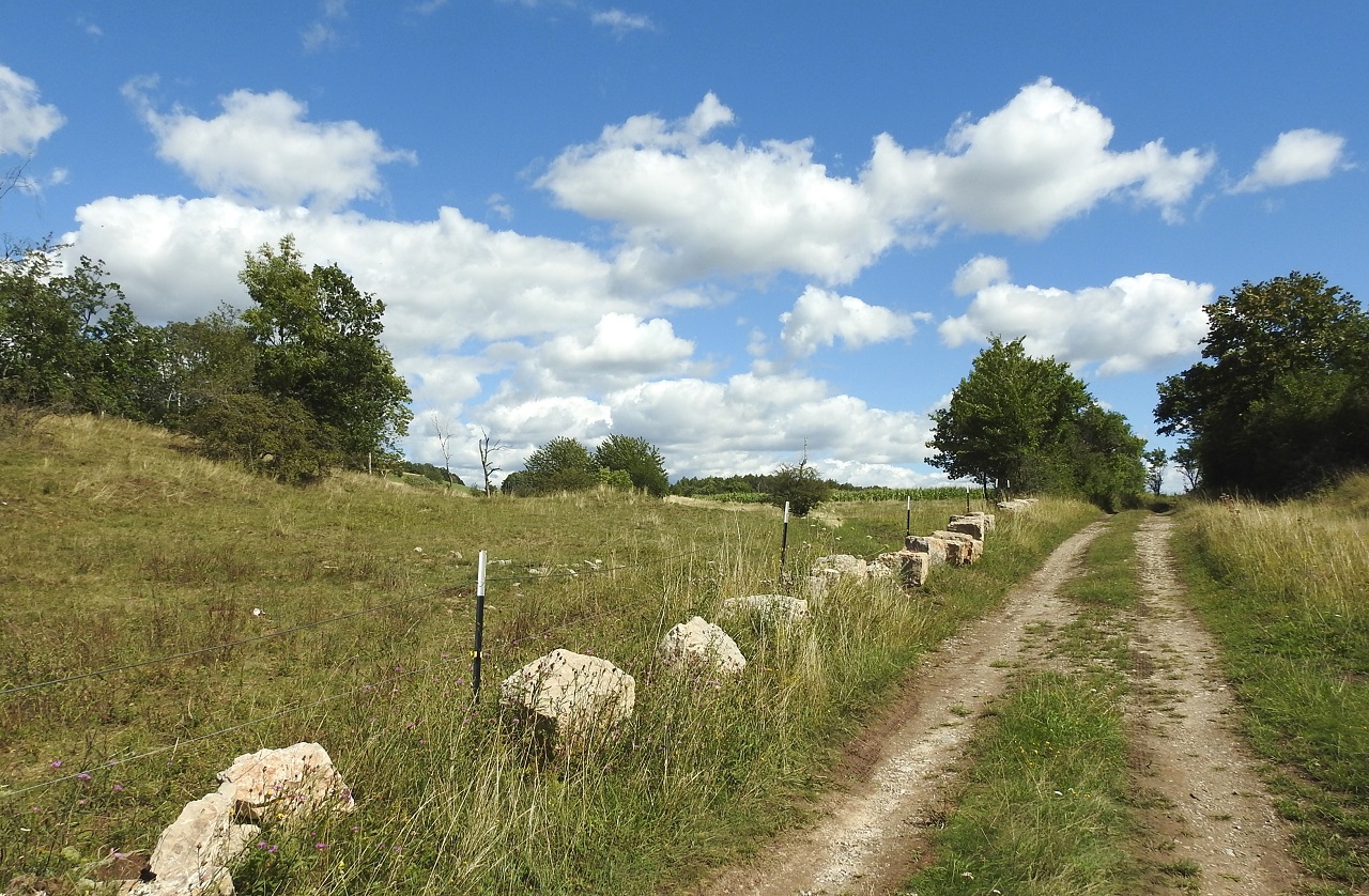 After 15 years of patient education and information to protect our mountain meadows without any no - Bild 3